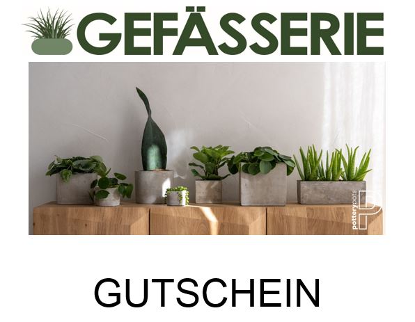 Gutschein Gefässerie Wert