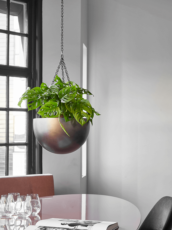 BAQ Pflanzampel Gradient Hanging Bowl