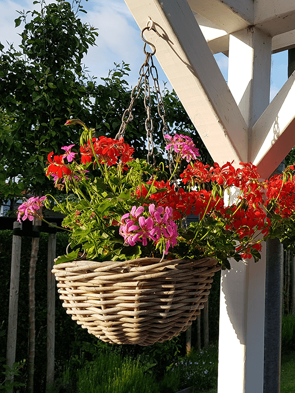 Van der Leeden Pflanzampel Hanging Basket