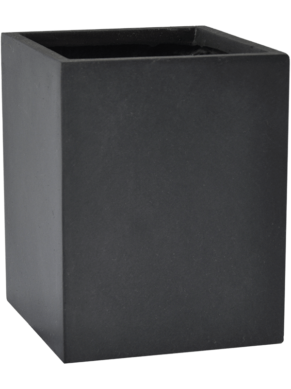 BAQ Pflanzwürfel Basic Cube